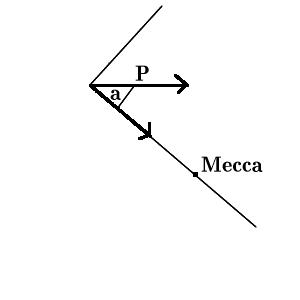 [A decomposition of the prayer vector into the Mecca component and the ... other ... component]